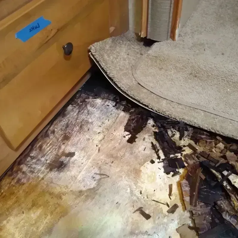 Best Wood Floor Water Damage Service in Limon, CO